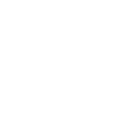 playButtonIcon